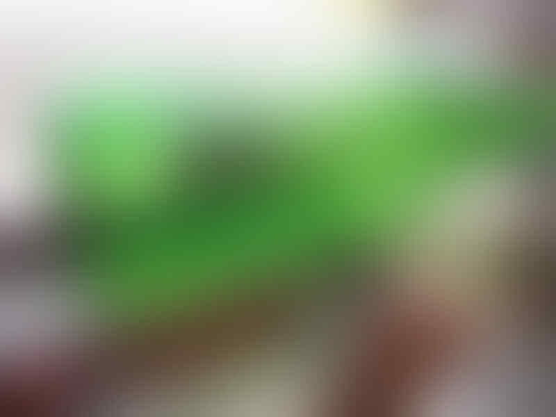 trik memotong botol kaca jadi gelas