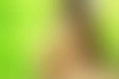 7 kegiatan sederhana berdampak kesehatan