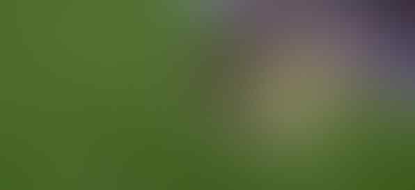 Funny football