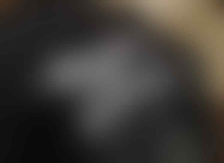 WASPADA GAN Penipu LUKMAN HAKIM ROESLIANA dari Bandung