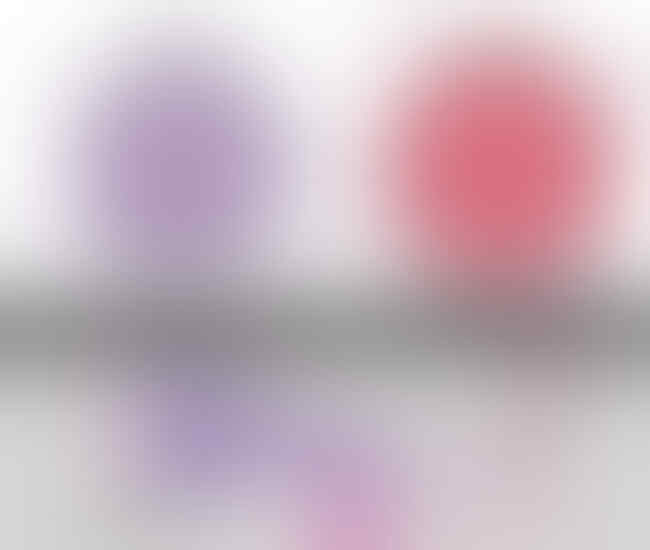 Mekanisme Kerja Antibiotik