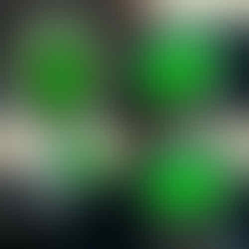LELANG ISENG AKH ..YG BnR KURAPAN..CLS TGL 17 JAM 22.00 WKT KASKUS