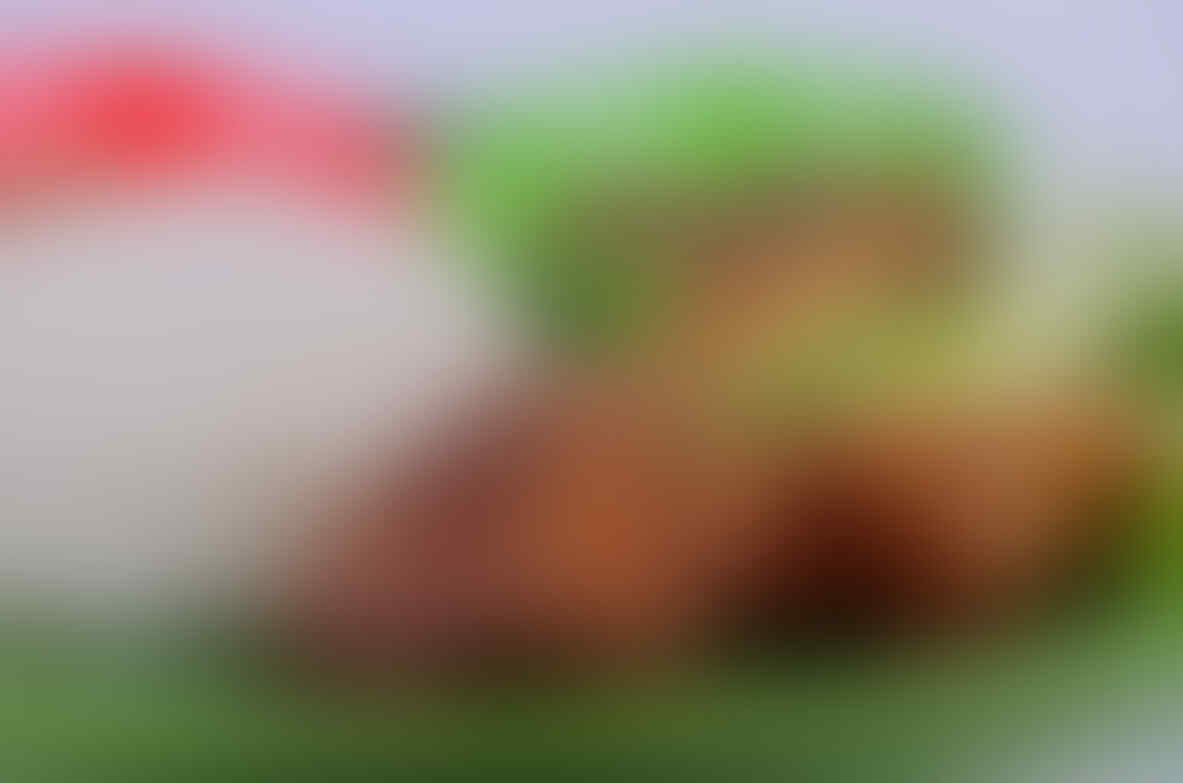 Fashion / Makanan / Minuman / Interior / Exterior / dan sebagainya