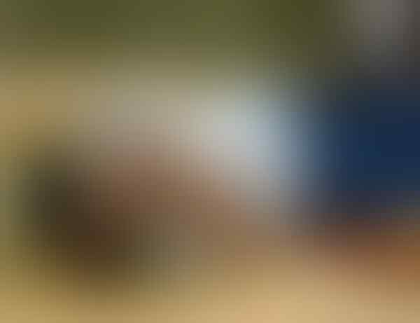 MUI Usul Calon Gubernur Tes Ngaji