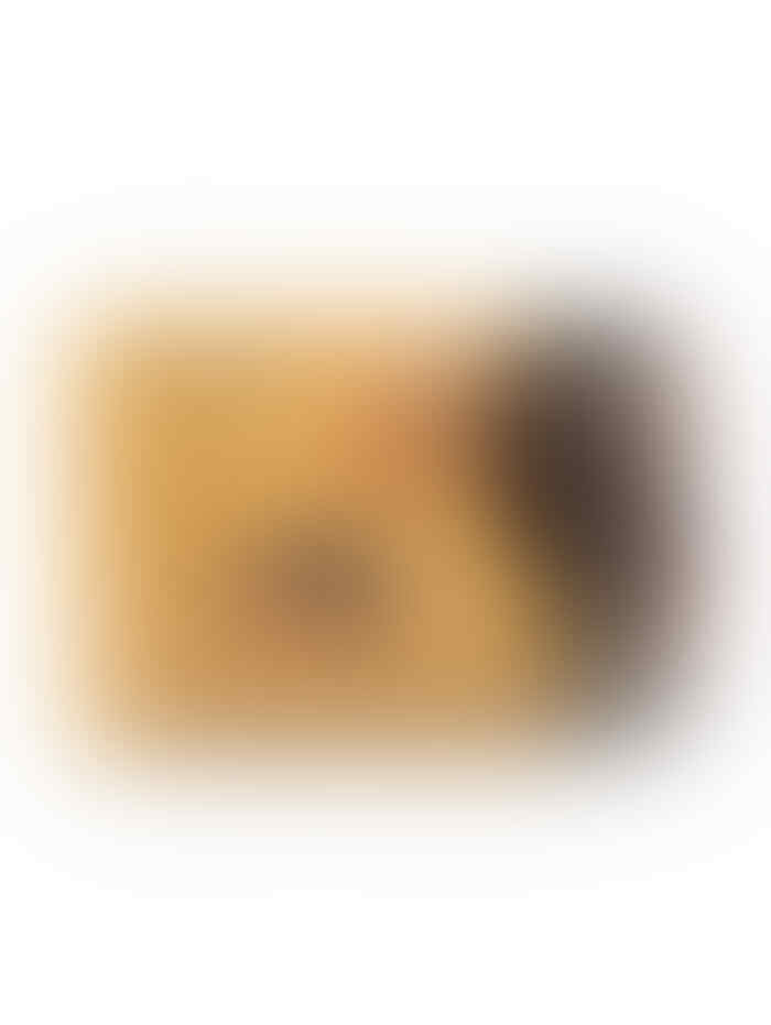 Aneka kurma - kurma keju, kurma mede dll