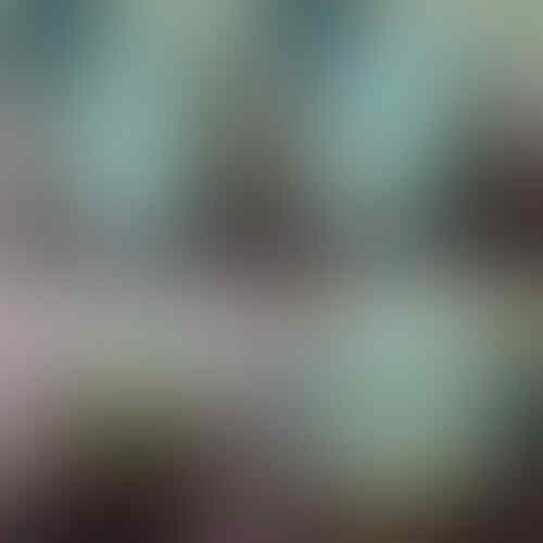 LELANG 131 CLS SENIN TGL 25 JAM 22.00 WKT KASKUS