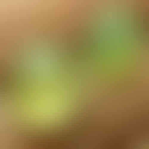LELANG 131 CLS SENIN TGL 25 JAM 22.00 WKT KASKUS