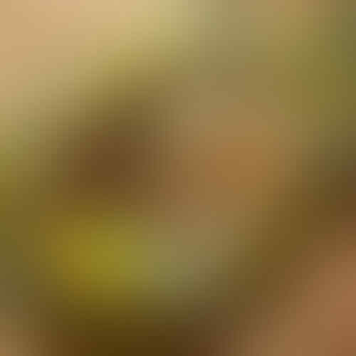 LELANG 131 CLS SENIN TGL 25 JAM 22.00 WKT KASKUS