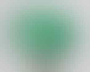LELANG BANJIR PERMATA SILVER 925 , BULU MACAN, B OPAL, JAMRUD OB 40K END 8 SEP 21:31
