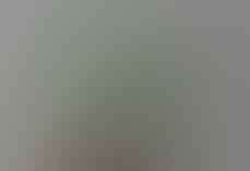 LELANG BANJIR PERMATA SILVER 925 , BULU MACAN, B OPAL, JAMRUD OB 40K END 8 SEP 21:31