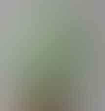 LELANG BANJIR PERMATA SILVER 925 , BULU MACAN, B OPAL, JAMRUD OB 40K END 8 SEP 21:31