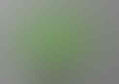 LELANG BANJIR PERMATA SILVER 925 , BULU MACAN, B OPAL, JAMRUD OB 40K END 8 SEP 21:31