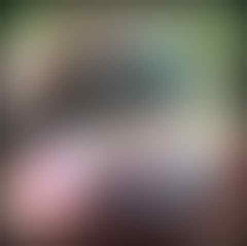 LELANG AJIIP#16“LELANG BATU GAMBAR AJIIP YG PUNYA CUMA AGAN AZA close 13 sep 21.45“