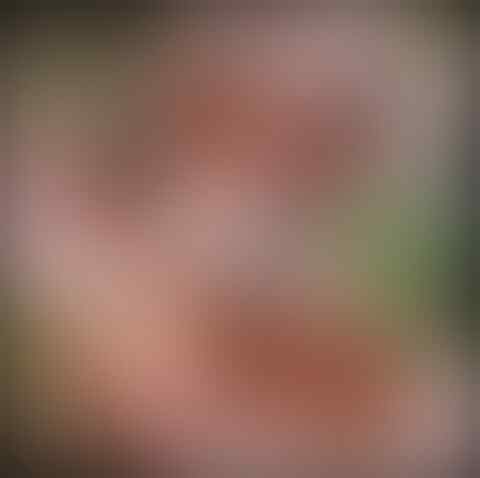 LELANG AJIIP#16“LELANG BATU GAMBAR AJIIP YG PUNYA CUMA AGAN AZA close 13 sep 21.45“