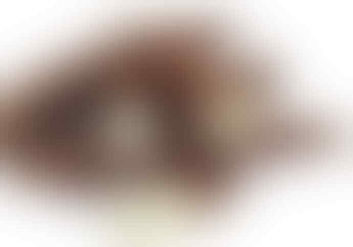 Tanaman Mematikan di Indonesia Jika Salah Konsumsi