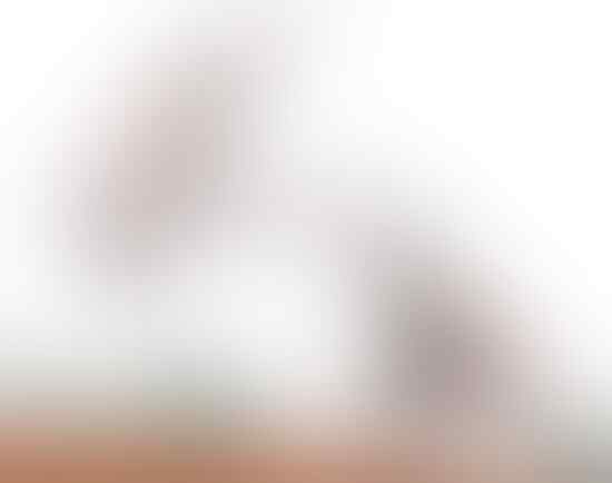 14 Seni Bela Diri Mengagumkan Yang (Mungkin) Belum Pernah Anda Dengar