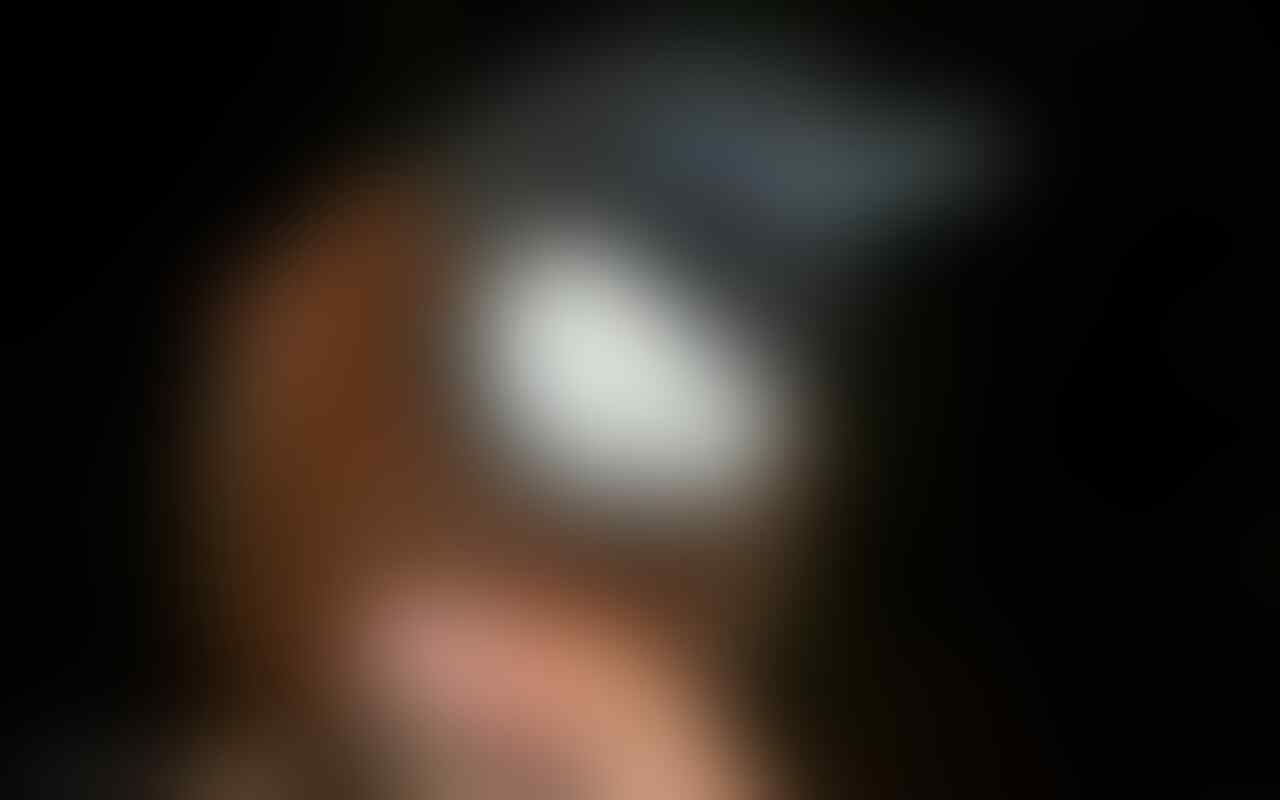 Jenis Jenis Burung Page 3 Kaskus