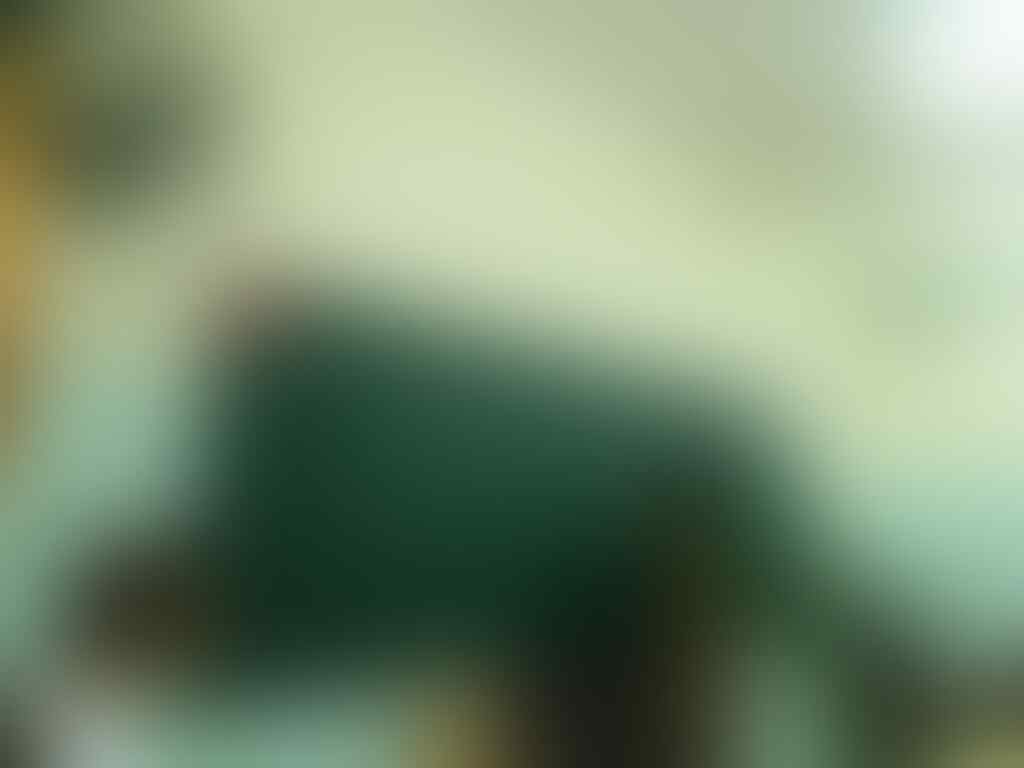kaskus-image