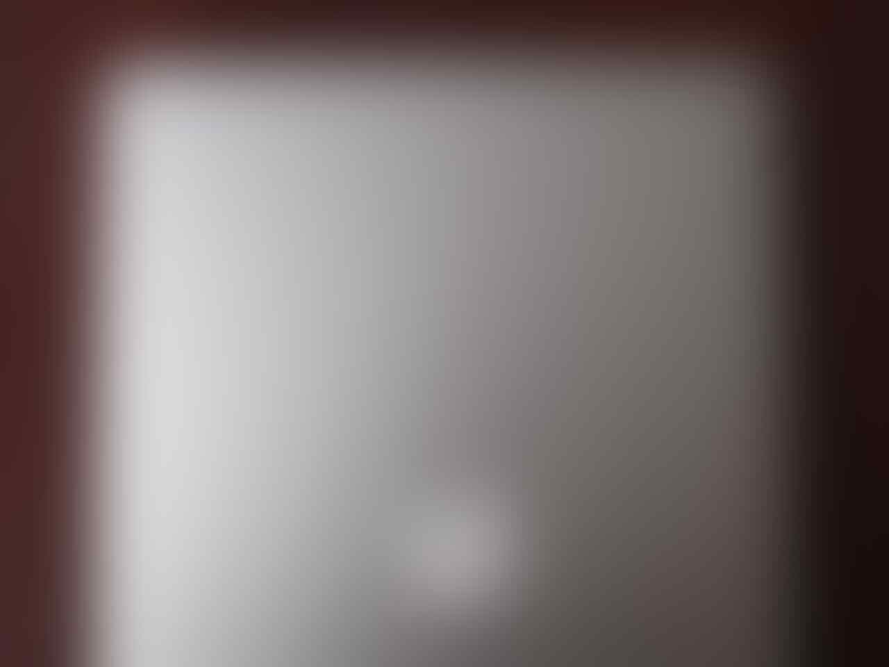 MacBook Pro (13 inchi, Mid-2012) / MD102