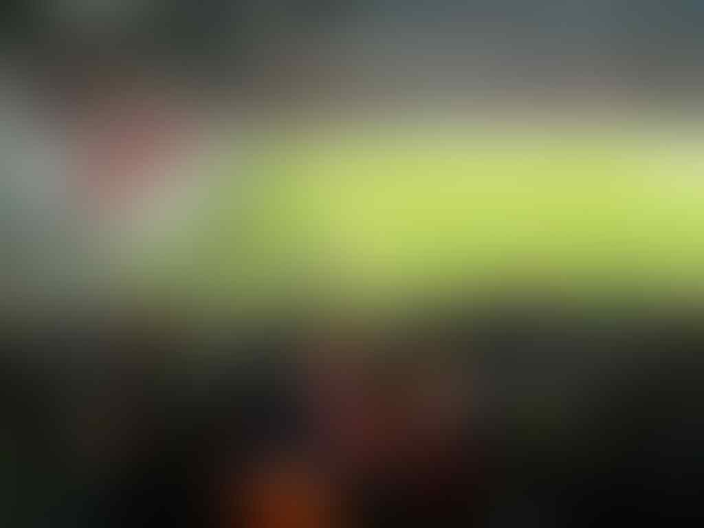 kaskus-image