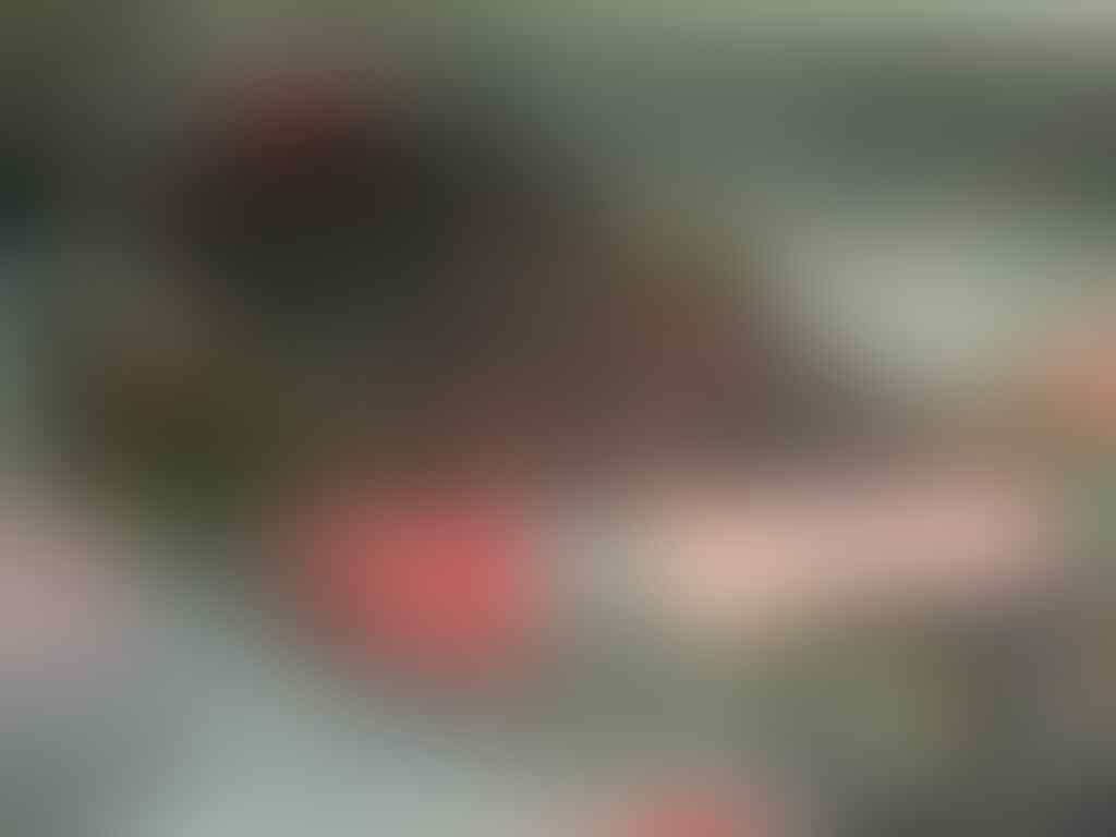 kaskus-image