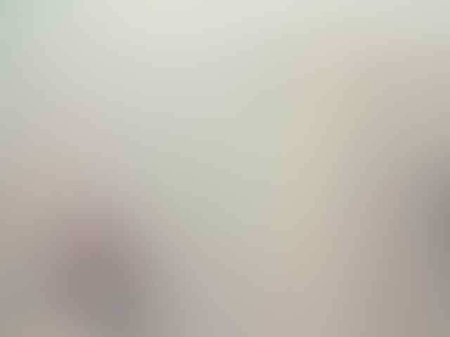 ask tentang web cam laptop ane