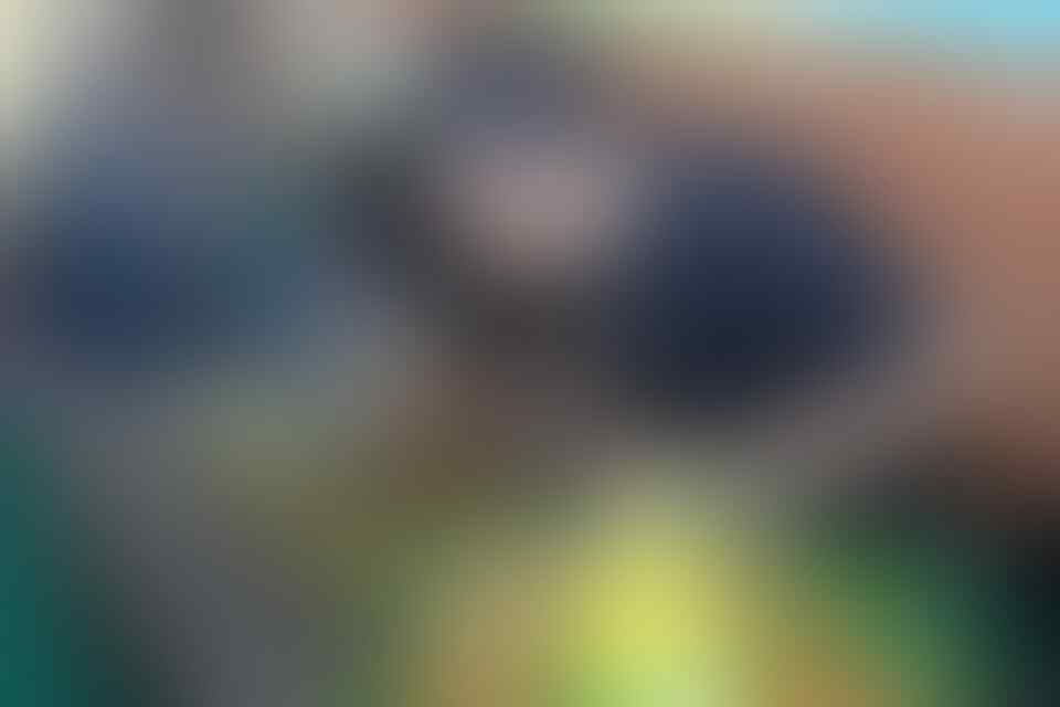 &#91;FR&#93; Syukuran HUT Kaskus Regional Malang Ke-7