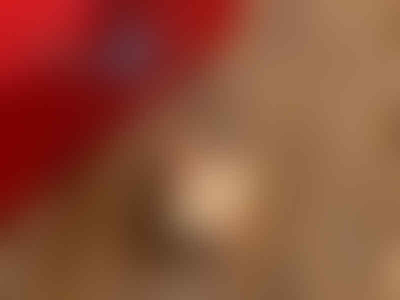 &#91;Fairy Box&#93; Perhiasan Desain Korea Murah Berkualitas