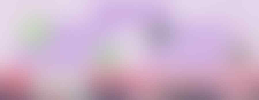 Aksesoris UPDATE untuk Oppo Neo K / Oppo Neo Real / Oppo Neo 3 / R831K