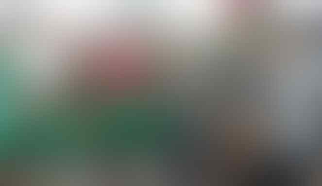 Sikap Lion Air Dinilai Menampar Wibawa Presiden Jokowi