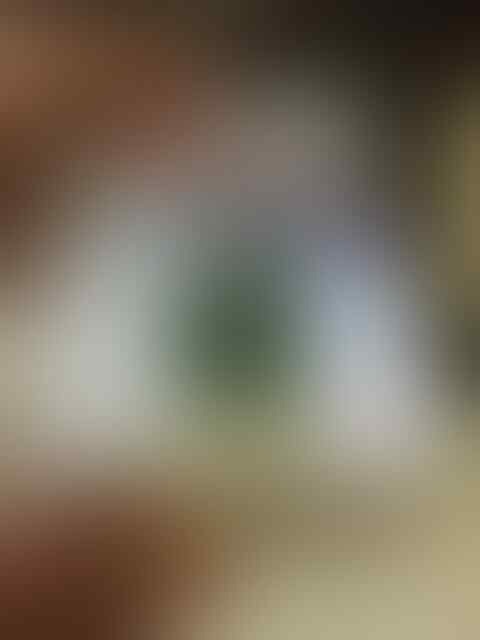 Lelang Rough Bacan End Malam ini jam 23.00