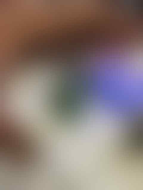 Lelang Rough Bacan End Malam ini jam 23.00