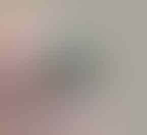 LELANG CEYLON, BTB, MYSTIC, JAMRUD, CUB EMAS, PYRUS, BACAN OB DR 0 END 21 MAR 21.31