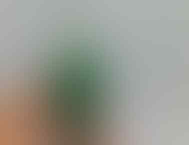 LELANG CEYLON, BTB, MYSTIC, JAMRUD, CUB EMAS, PYRUS, BACAN OB DR 0 END 21 MAR 21.31