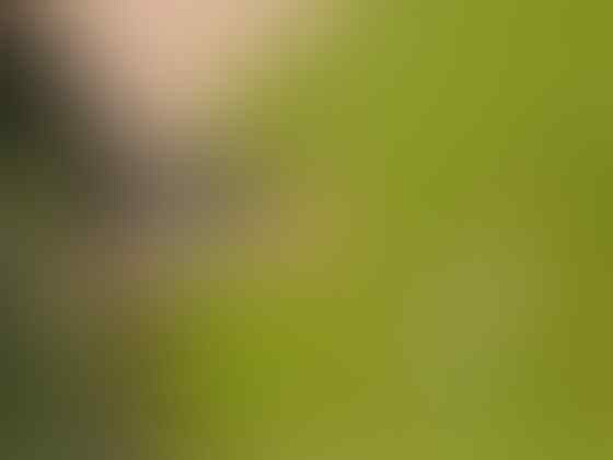 9 Tanda Kalo Indonesia Ternyata Masih Mengalami Kemunduran
