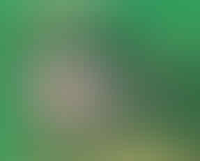 Jual macam2 Thinner (Impala, Impas, ND, Lotus, Cobra, Afduner, Herin dll)