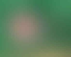 Jual macam2 Thinner (Impala, Impas, ND, Lotus, Cobra, Afduner, Herin dll)