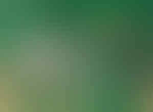 Jual macam2 Thinner (Impala, Impas, ND, Lotus, Cobra, Afduner, Herin dll)