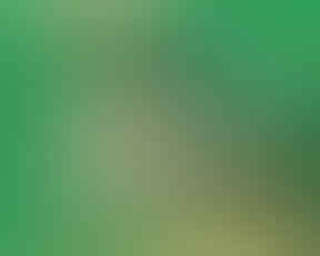 Jual macam2 Thinner (Impala, Impas, ND, Lotus, Cobra, Afduner, Herin dll)