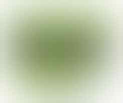 CD + DVD + BLURAY - BLANK (Berbagai Merk) Harga GROSIR