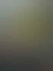 Jual macam2 Dempul dll (Sanpolac, Rospolac, Isamu, Impra, A-Plus, Sanpoly, Neorever)
