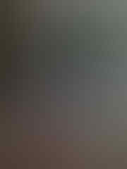Jual macam2 Dempul dll (Sanpolac, Rospolac, Isamu, Impra, A-Plus, Sanpoly, Neorever)