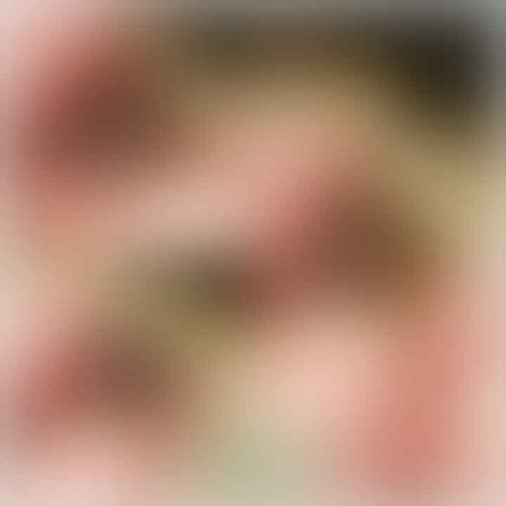 Lelang lagi dah close 8 mei 2016