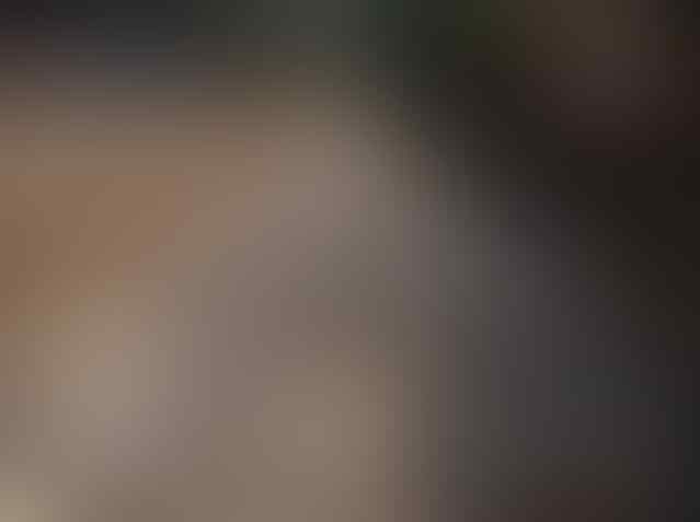 Parah, Akibat Pasukan Orange Kini Kali Mampang Tambah Sedap Dipandang
