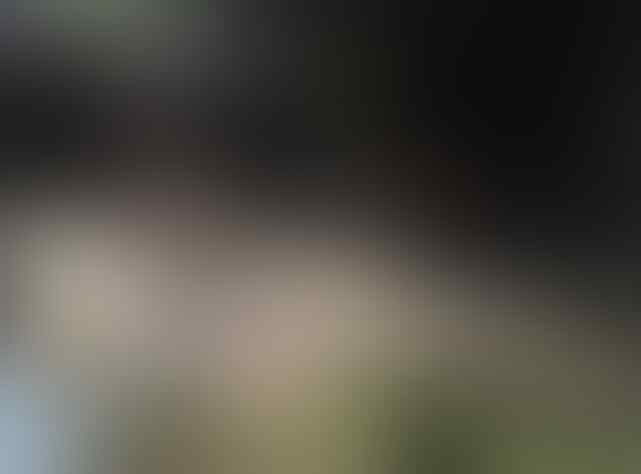 Parah, Akibat Pasukan Orange Kini Kali Mampang Tambah Sedap Dipandang