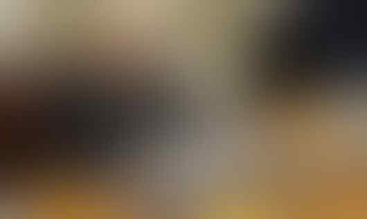 Pemerintah Serang Perdana Menteri Solomon yang "Nakal"