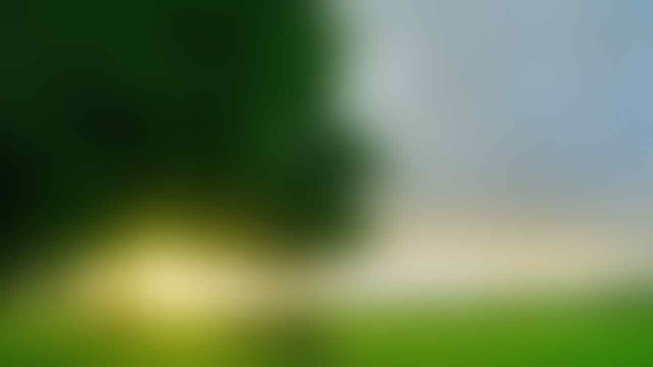 kaskus-image