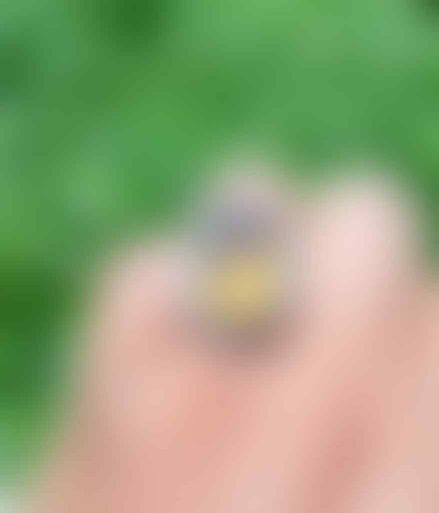 Lelang #7 Yellow Amber full luster bonus bacan sampe besok pagi