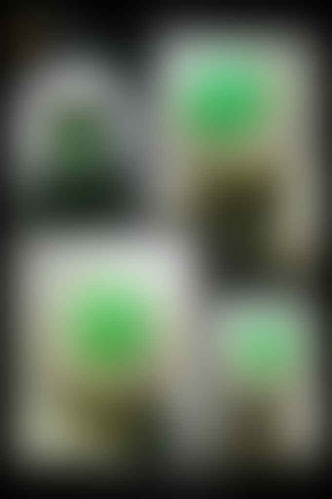 Lelang #8 Bacan Gulao dan Junder singkat aja