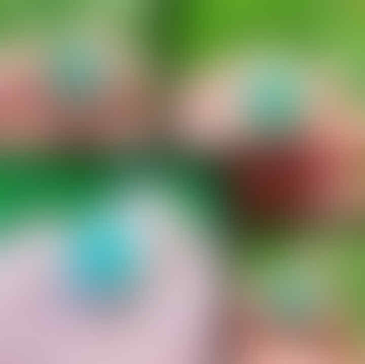 Lelang #8 Bacan Gulao dan Junder singkat aja